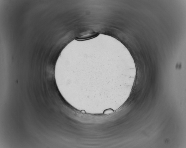X0000101420048200808041138