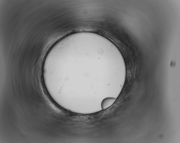 X0000101420049200808041137