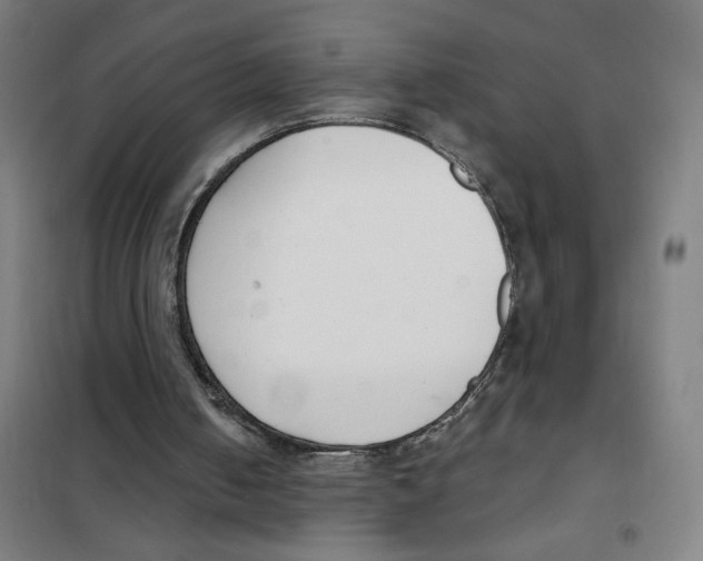 X0000101420050200808041137