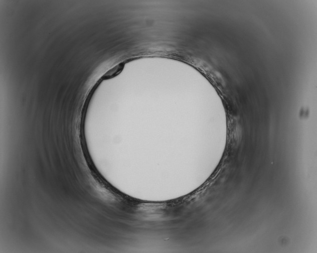 X0000101420051200808041137