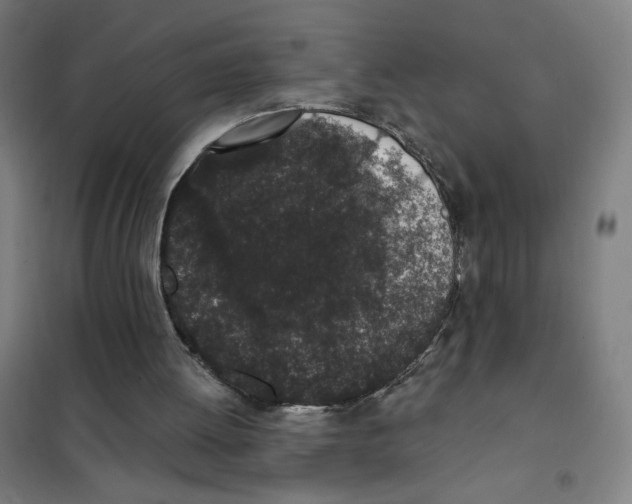 X0000101420052200808041137