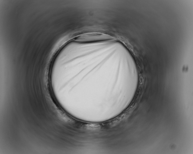 X0000101420053200808041137