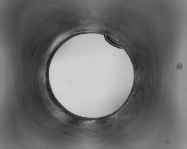 X0000101420054200808041138