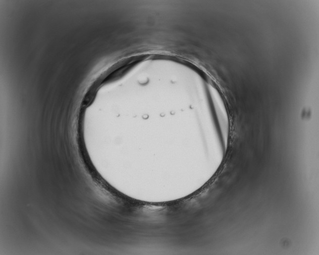 X0000101420055200808041138