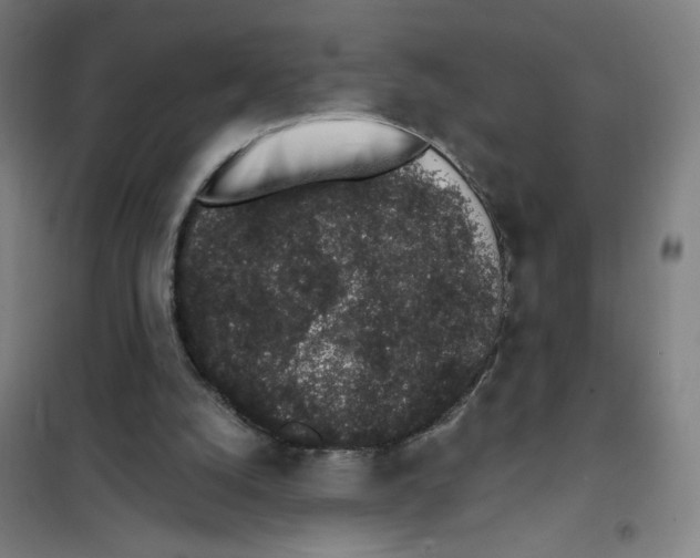 X0000101420056200808041138