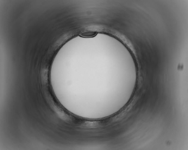 X0000101420057200808041138