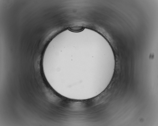 X0000101420058200808041138