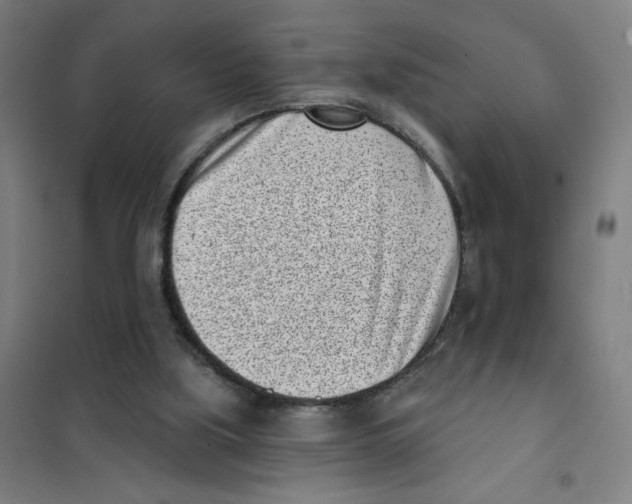 X0000101420059200808041138