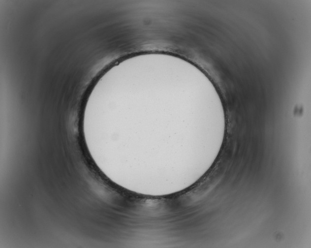 X0000101420060200808041138