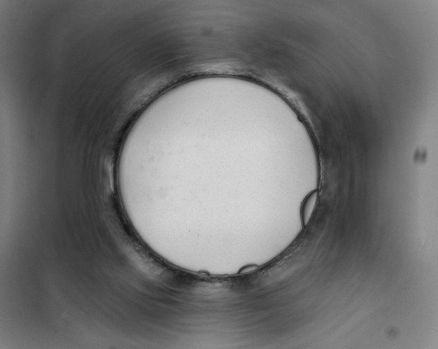 X0000101420061200808041138