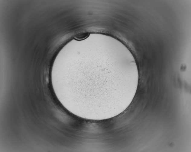 X0000101420062200808041138