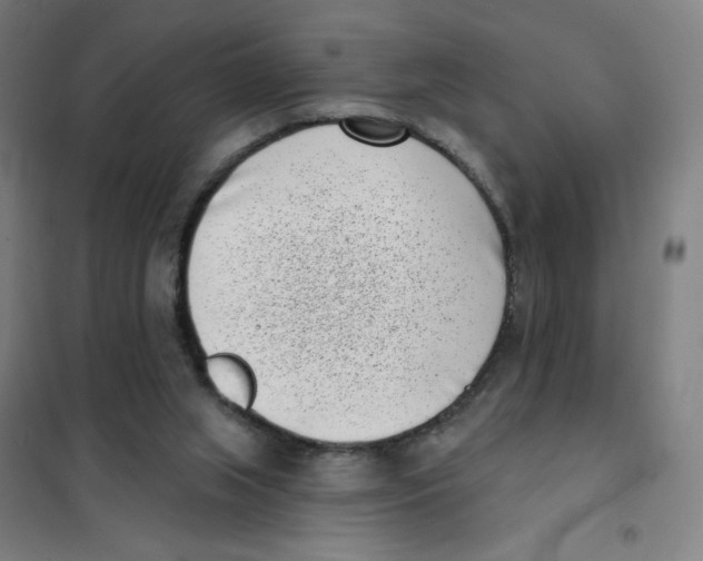 X0000101420063200808041138