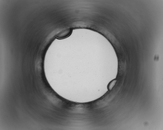 X0000101420064200808041138