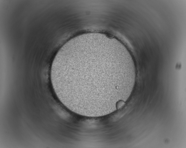 X0000101420065200808041138