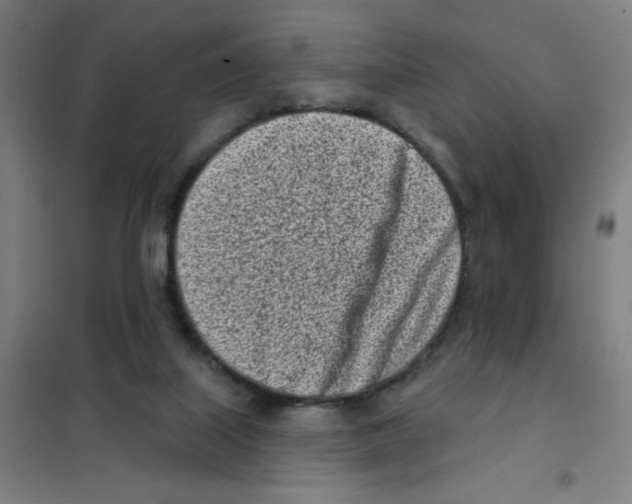 X0000101420067200808041138