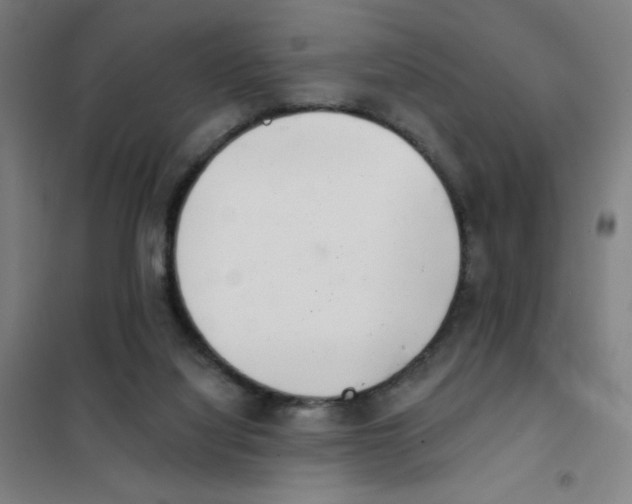 X0000101420068200808041138