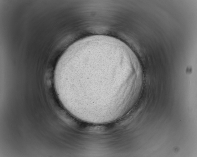 X0000101420069200808041138