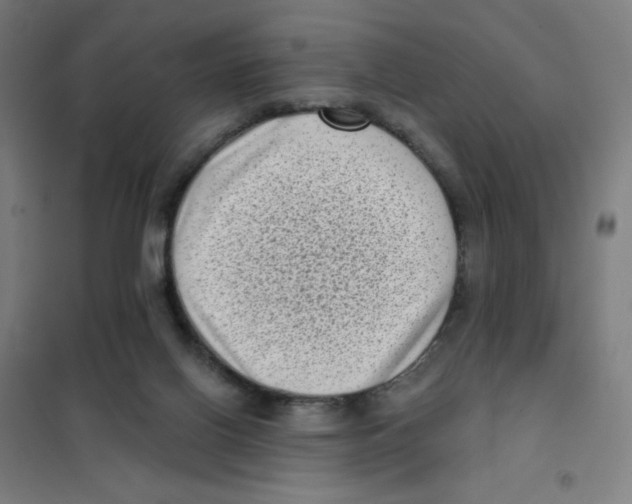 X0000101420070200808041138