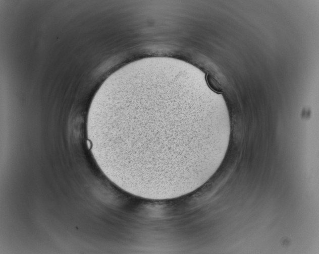 X0000101420071200808041138