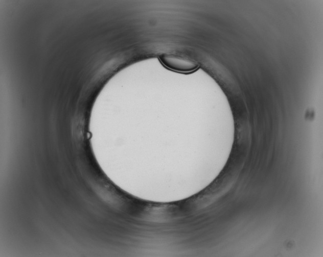 X0000101420072200808041138