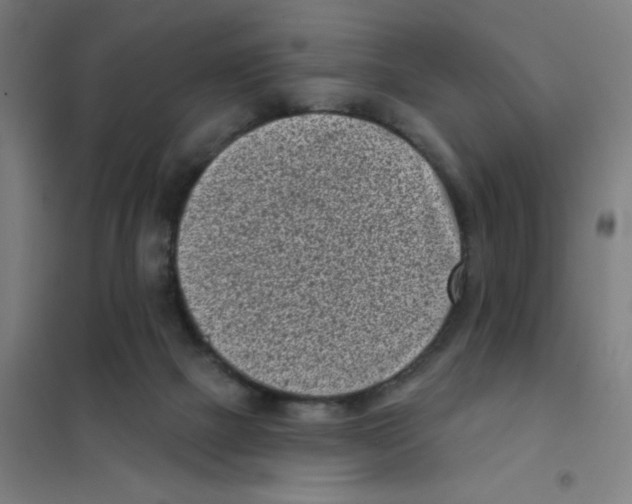 X0000101420073200808041138