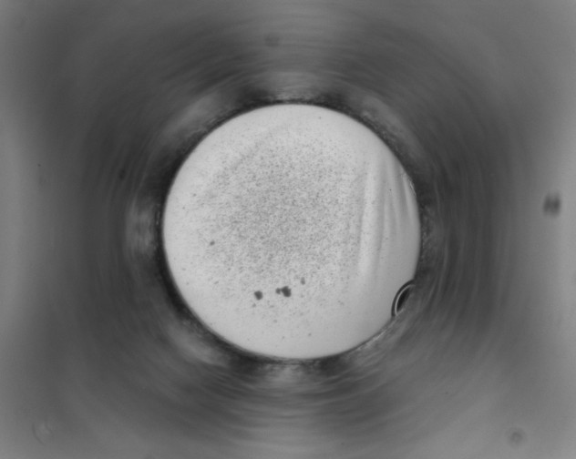 X0000101420074200808041138