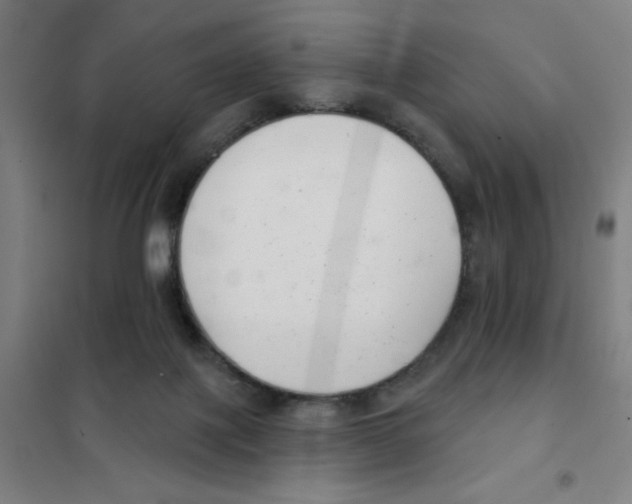 X0000101420075200808041138