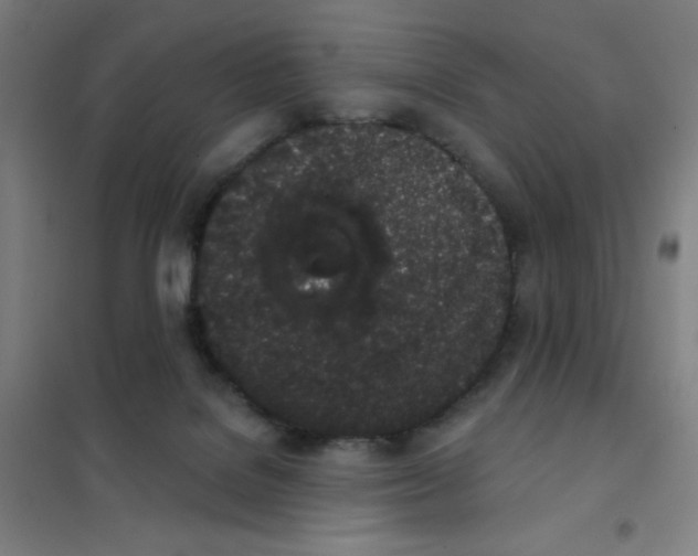 X0000101420076200808041138