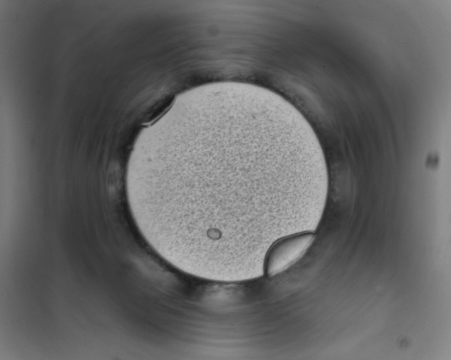 X0000101420077200808041138