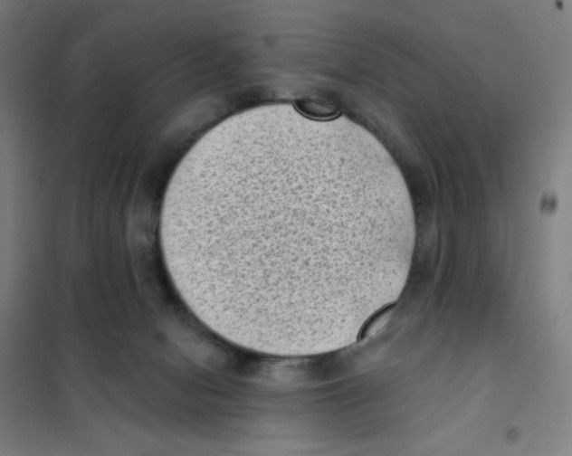 X0000101420078200808041138