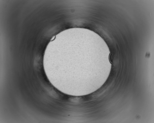 X0000101420079200808041138