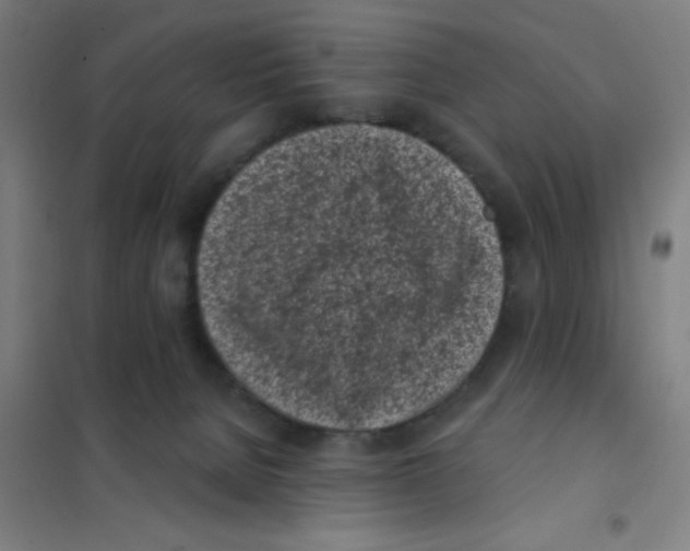 X0000101420080200808041138