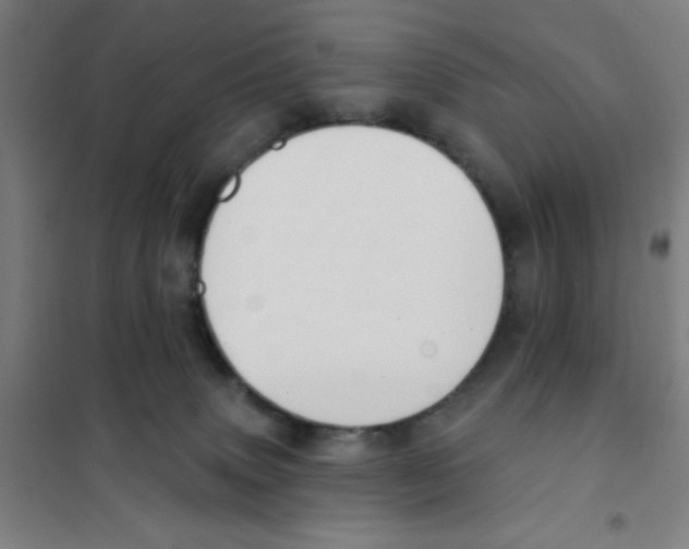 X0000101420083200808041138