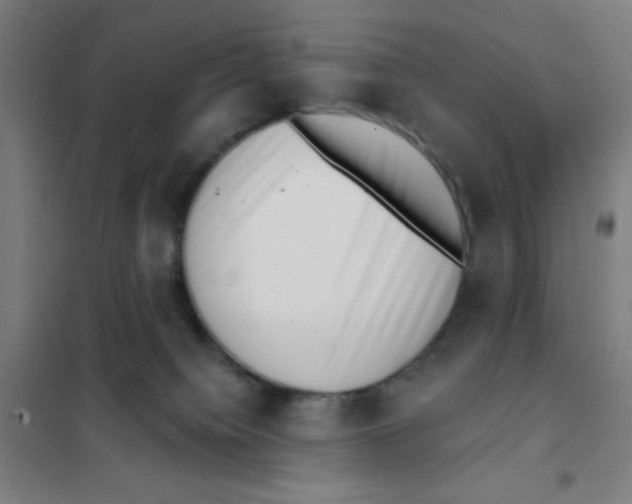 X0000101420084200808041138
