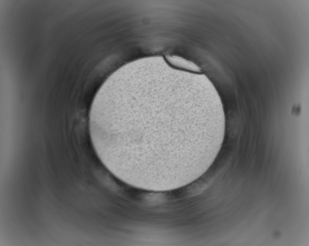 X0000101420085200808041138