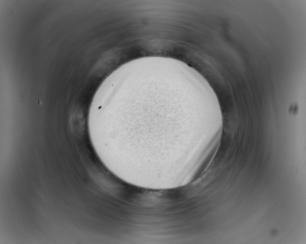 X0000101420086200808041138