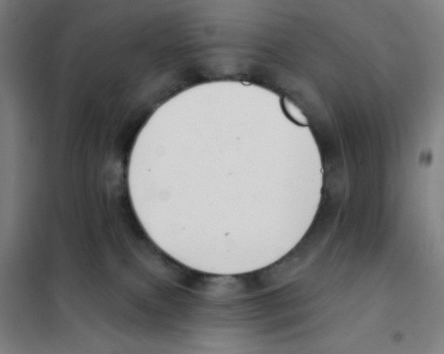 X0000101420087200808041138