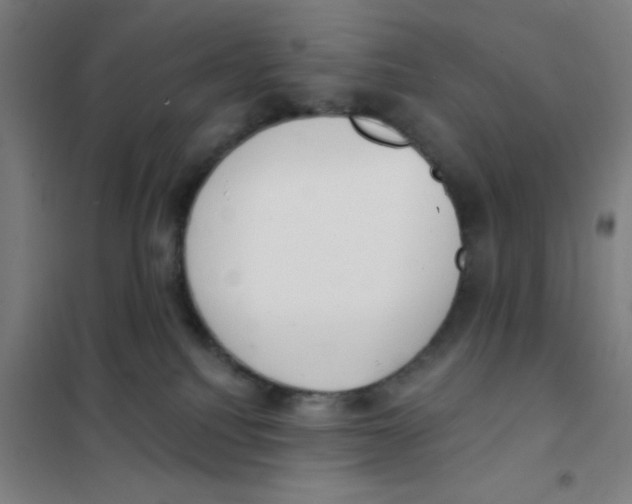 X0000101420088200808041138