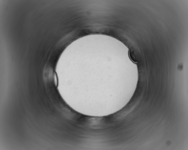 X0000101420089200808041138