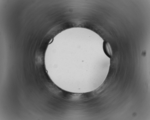 X0000101420090200808041138