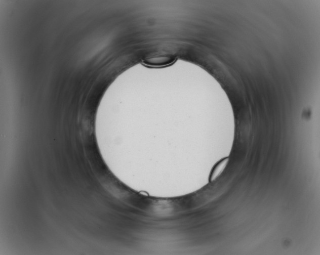 X0000101420091200808041138