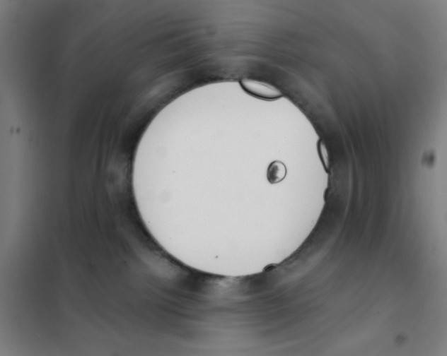 X0000101420092200808041138