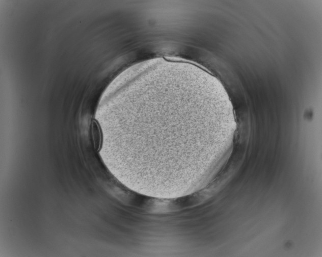 X0000101420093200808041138