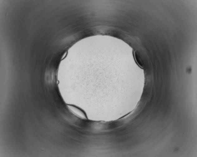 X0000101420094200808041138