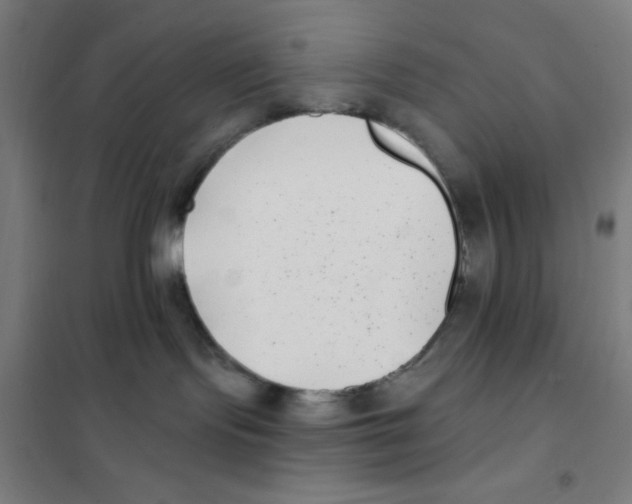 X0000101420095200808041138
