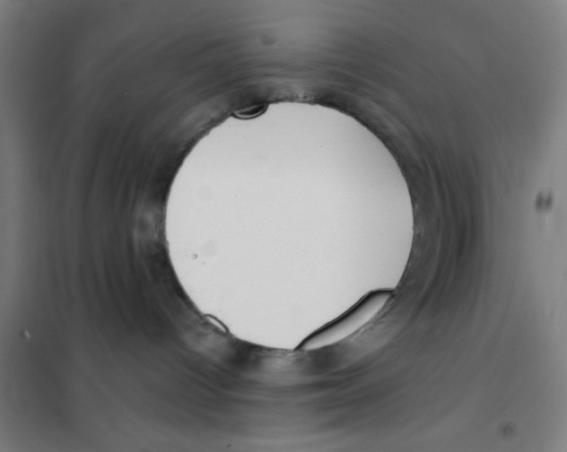 X0000101420096200808041138