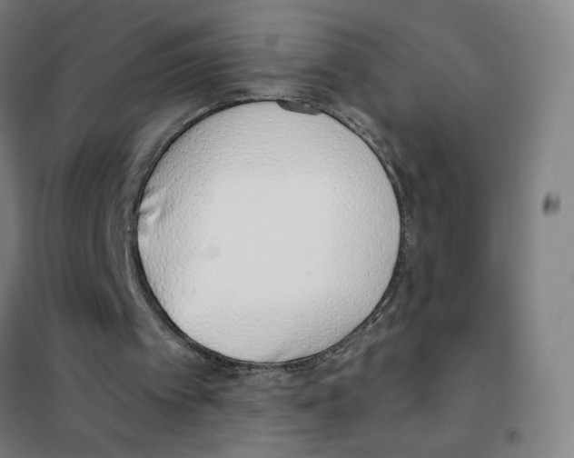 X0000101420097200808041137