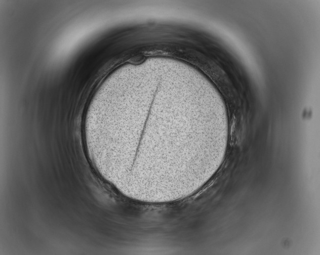 X0000101420099200808041137