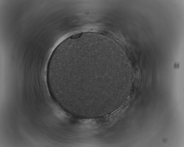 X0000101420100200808041137