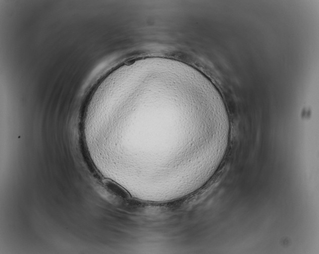X0000101420101200808041137
